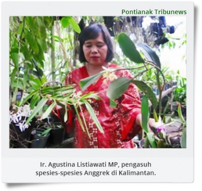 Kisah Tiga Srikandi Indonesia di Belantara Borneo