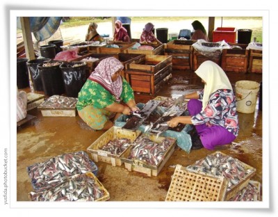 Perempuan Nelayan Indonesia Kerja 17 Jam Sehari Tanpa Diakui