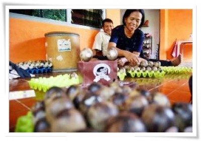 Telur Asin Asap Dwi Mulyanti Perkaya Makanan Khas Semarang