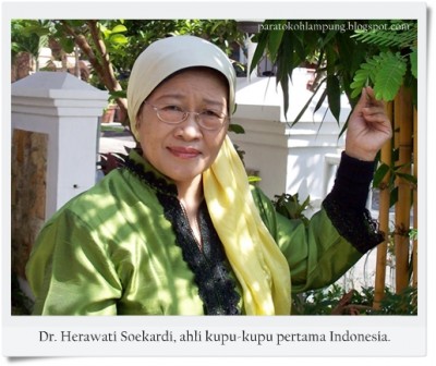Dr. Herawati Soekardi, Ahli Kupu-kupu Pertama Indonesia