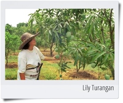 Lily Turangan Pupuk Hobi ‘Tanbulampot’ Jadi Agrisbisnis Subur