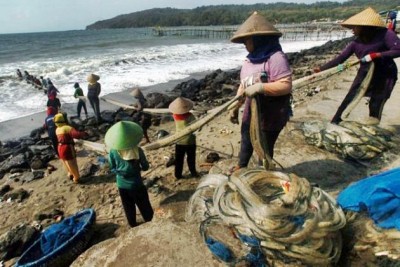 [unduh] Riset yang Tilik Krisis Pada Perempuan Nelayan Indonesia