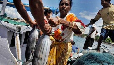 Perempuan Nelayan Jawa Dominasi Pasca Panen Hasil Laut