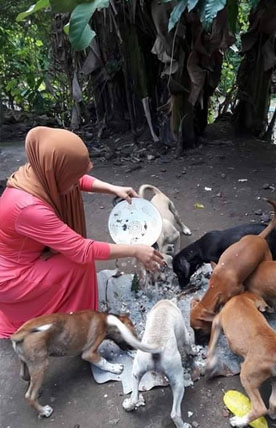 Desi-Marlina-Berhijab-Rawat-Puluhan-Anjing-dan-Kucing-Yang-Terlantar-01