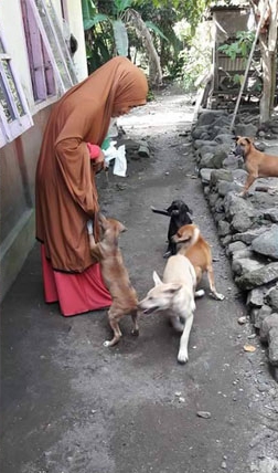 Desi-Marlina-Berhijab-Rawat-Puluhan-Anjing-dan-Kucing-Yang-Terlantar-02