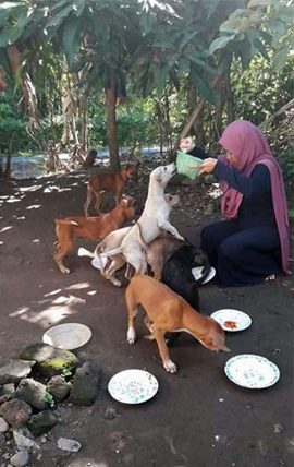 Desi Marlina, Malaikat 115 Anjing dan 49 Kucing Telantar