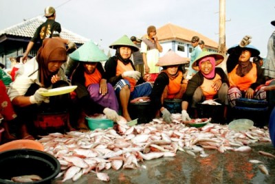 Perempuan Pesisir Sumatera Utara Tindak Kerusakan Lingkungan