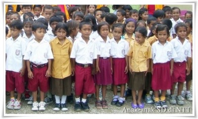 Kisah Keuletan Tiga Mama Asuh Di Timor Barat