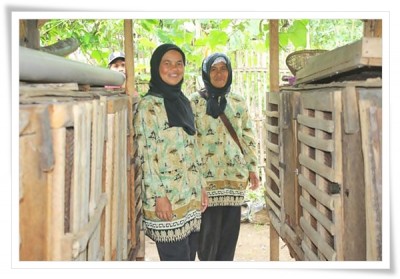 Yang Besar Babat Hutan, Mereka Bibit Hutan