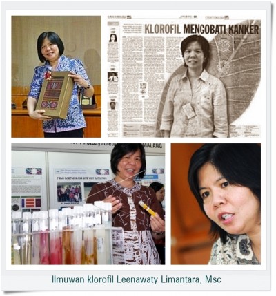 Peneliti Klorofil Dr. Leenawaty Limantara Sumbang Dua Penemuan Ke Dunia