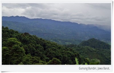 Perempuan Gunung Bunder Beralih Ke Kayu Bakar Tanpa Menebang