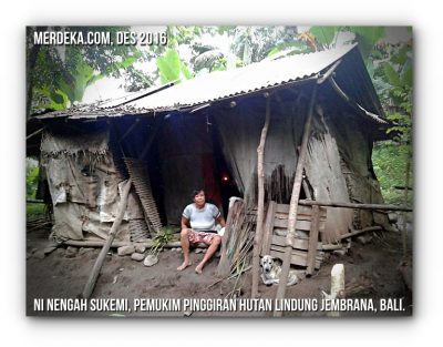 Perempuan Pinggiran Hutan Masih Terpinggirkan