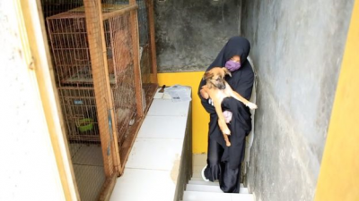 Budi Baik Hesti, Sang Pembela Anjing-anjing Terlantar