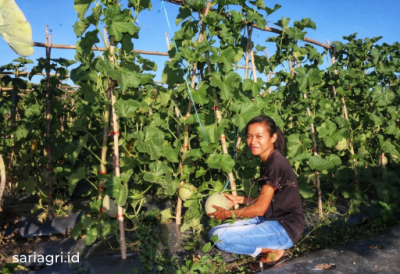 Awalnya Petani Methy Dicibir, Ujungnya Dikagumi Bangsa